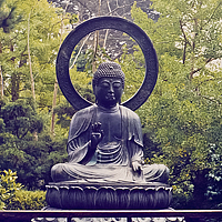 Click for larger view!